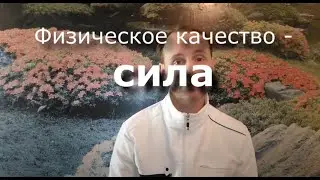 Сила - разбираем физическое качество