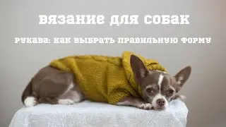 Вязание для собак: как выбрать правильную форму рукава