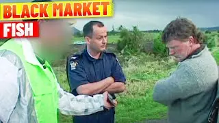Man Fined $53,000 For Black Market Sales