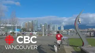 From ghost town to success story: The legacy of Vancouver's Olympic Village