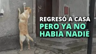 Después de 4 meses regresó a casa, pero ya no había nadie