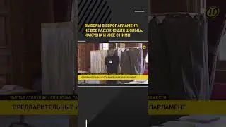 Выборы в Европарламент: не все так радужно для Шольца, Макрона и иже с ними 
