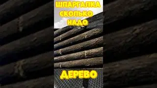 Сколько надо на ДЕРЕВЯННУЮ СТЕНУ в игре RUST / РАСТ  КАК взорвать  