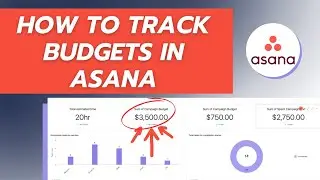 Manage Your Project Budgets in Asana| Asana Tutorial