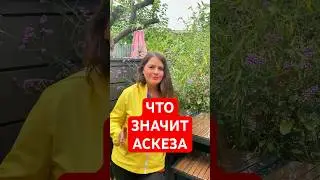 Что Значит АСКЕЗА? #астрология #аскеза #эзотерика