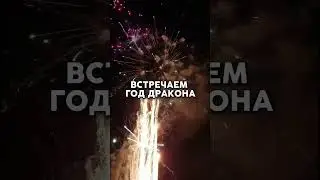 ГОД ДРАКОНА