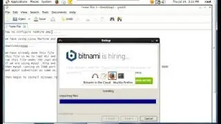 Bitnami Redmine installation on linux machine