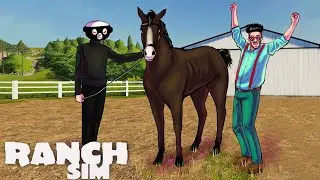 НАКОНЕЦ-ТО КУПИЛИ ЛОШАДЬ! НО ЕСТЬ НЮАНСЫ... RANCH SIMULATOR