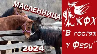 Конный двор / МАсленница 2024