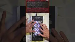 Exquis - @uheplugins Diva "What the pluck" #mpe #midi #keyboard #controller #plugin #vst #synth