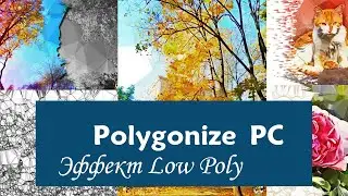 Generator online polygon effect