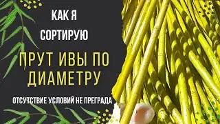 Сортировка прута ивы по диаметру. Как я это делаю.