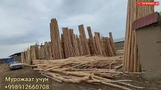 ТУРТКУЛЬ МЕСТНЫЙ ДАРАК НАРХЛАРИ