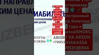 АВИБИЛЕТЫ +79953138304 