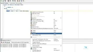 Curso Oracle PL/SQL avanzado: configurar para pl/sql para debug