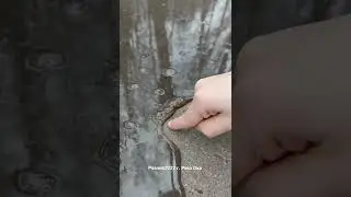 20 апреля 2022 г.