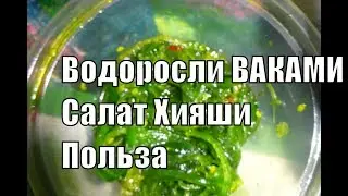 Вакаме водоросли Салат Хияши или Чука Польза для здоровья