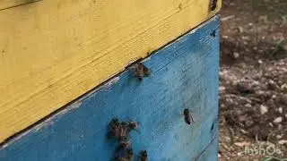 Такой бардак творится... зачем такая неразбериха у природы добра на всех хватит.