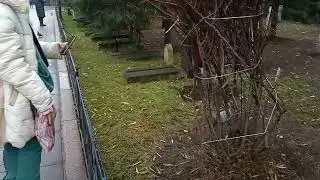 Белочка у святой Матронушки. Покровский монастырь. Москва