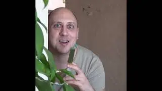 БИОЛОГИЧЕСКИЙ УКОЛ для МЕДСЕСТРЫ / BIOLOGICAL INJECTION for a NURSE 