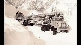 Макс Вертиго, Феликс Верниковский-Лесовозам