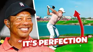 Why Tiger Woods LOVES Rory McIlroy's Swing..