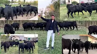 АБДУЛЛОХ укамиз ЮТУБГА яна ЎТ қуймоқда МАНА😳📞977090901