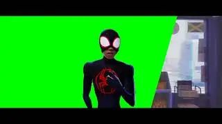 SPIDER-MAN_ ACROSS THE SPIDER VERSE Green Screen Spiderman Green Screen