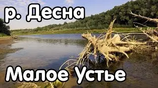 Место для рыбалки - р. Десна, с. Малое Устье, Черниговская область