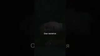 Анекдот от Элли - сериал Одни из нас (The last of us HBO) 