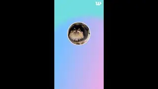 [ENGSUB BTS WEVERSE LIVE] Kim Taehyung With Armys 💜☺️ Hii Armys  {Full}