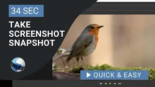 OpenShot Video Editor Tutorial: How to Take Screenshot or Snapshot in OpenShot