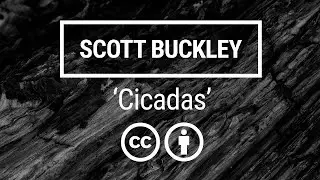 'Cicadas' [Ambient Neoclassical CC-BY] - Scott Buckley