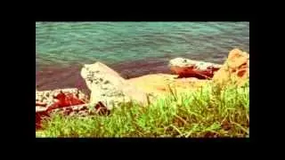 Дует Бургас    Момчето,което говори с морето