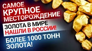 Крупнейшее месторождение золота в мире нашли в России! Золотой Инвест Клуб