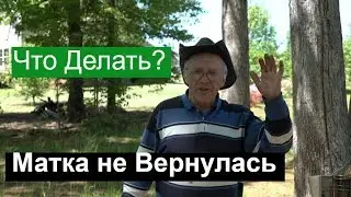 Пасека 