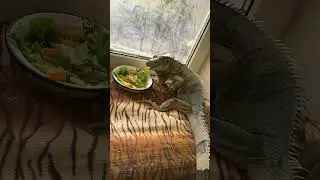 яша 02012023