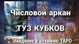 Туз кубков (чаш) | Алхимическое значение числового (младшего) аркана таро