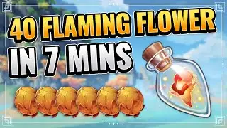 BEST LOCATIONS Flaming Flowers Farming Route (FAST AND EFFICIENT!) Genshin Impact F2P Farming Stamen