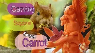 How to make Squirrel Characters from Carrot