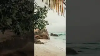 Новинка! Слитный купальник на большой размер груди Fantasie Silhoette Island. Анималистичный принт.