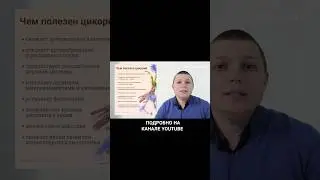 Цикорий для Печени 