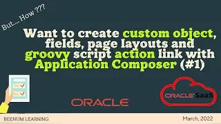 Application Composer (Part 1): Create custom object, fields, page layouts and groovy script, action