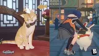 Petting In Genshin VS Petting In ZZZ