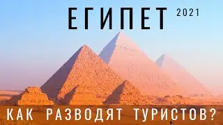 Египет. Я в шоке. Как разводят туристов в 2024? Пирамиды Египта. На верблюде. Цены. Пирамида Хеопса