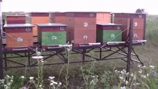 Модуль с отводками на ваточнике