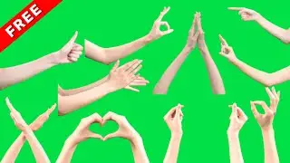 TOP 20 HAND SIGNS green screen