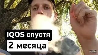 IQOS спустя 2 месяца . Вся правда про Iqos