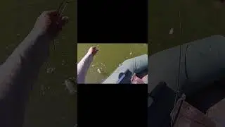 Совсем не ожидал атаки 