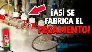 ¿Cómo Se Hace El Pegamento? [Proceso En Fábrica]